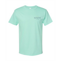 Clean Mint