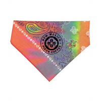 Tye-Dye Paisley